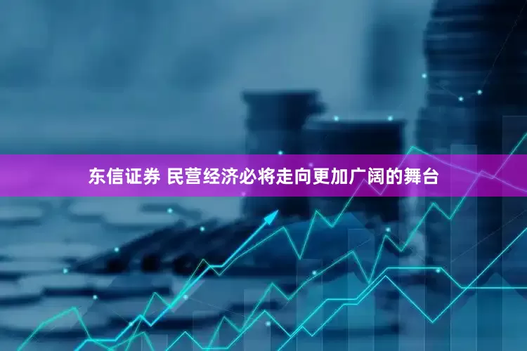 东信证券 民营经济必将走向更加广阔的舞台