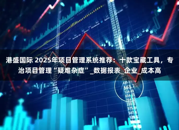 港盛国际 2025年项目管理系统推荐：十款宝藏工具，专治项目管理“疑难杂症”_数据报表_企业_成本高