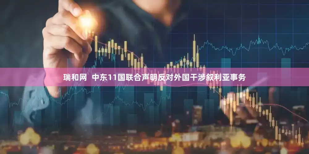 瑞和网  中东11国联合声明反对外国干涉叙利亚事务